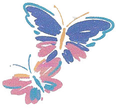 butterflies